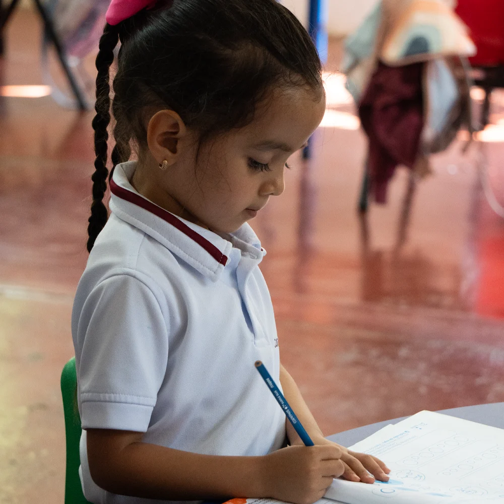Colegio Mesón Alta Verapaz